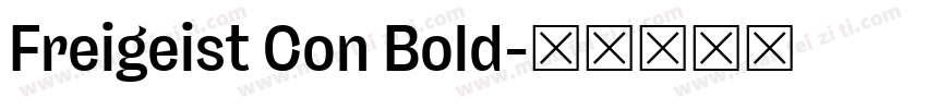 Freigeist Con Bold字体转换